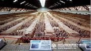 Xi’an Attraction: Terra Cotta Warriors and Horses